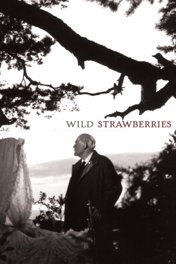 Watch Free Wild Strawberries Movies Full HD Online SFlix