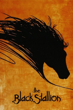 Watch Free The Black Stallion Movies Full HD Online SFlix