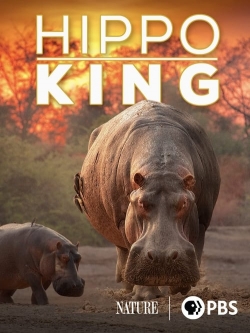 Watch Free Hippo King Movies Full HD Online SFlix