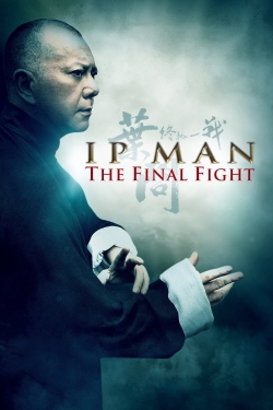 Watch Free Ip Man: The Final Fight Movies Full HD Online SFlix