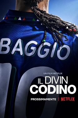 Watch Free Baggio: The Divine Ponytail Movies Full HD Online SFlix