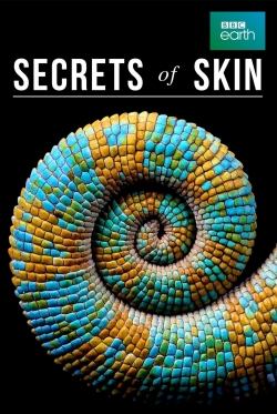 Watch Free Secrets of Skin Movies Full HD Online SFlix