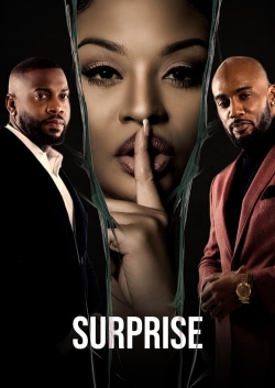 Watch Free Surprise Movies Full HD Online SFlix