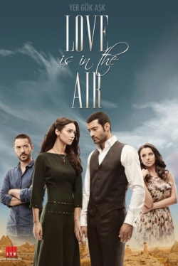 Watch Free Love Is In The Air Movies Full HD Online SFlix