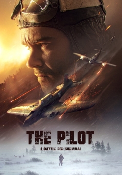 Watch Free The Pilot. A Battle for Survival Movies Full HD Online SFlix