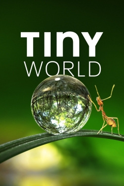 Watch Free Tiny World Movies Full HD Online SFlix