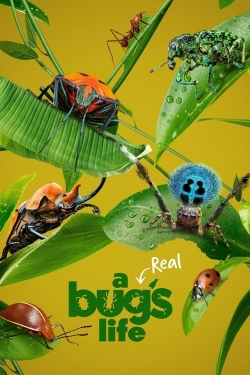 Watch Free A Real Bug's Life Movies Full HD Online SFlix